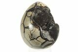 Septarian Dragon Egg Geode - Black Crystals #234987-1